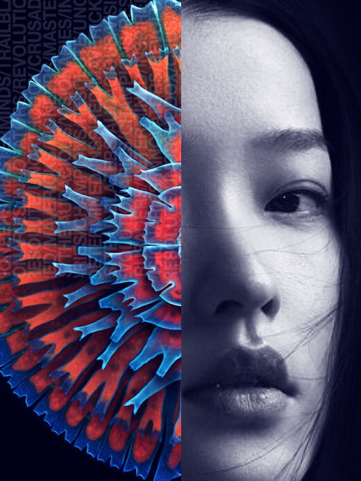 Identity & Campaign